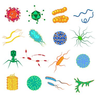 Bakteriler ve mikroplar renkli, mikro organizmalar hastalıklara neden olan nesneler, farklı türler, bakteriler, virüsler, mantarlar, protozoalar. Beyaz arkaplanda izole edilmiş vektör düz çizgi film çizimi