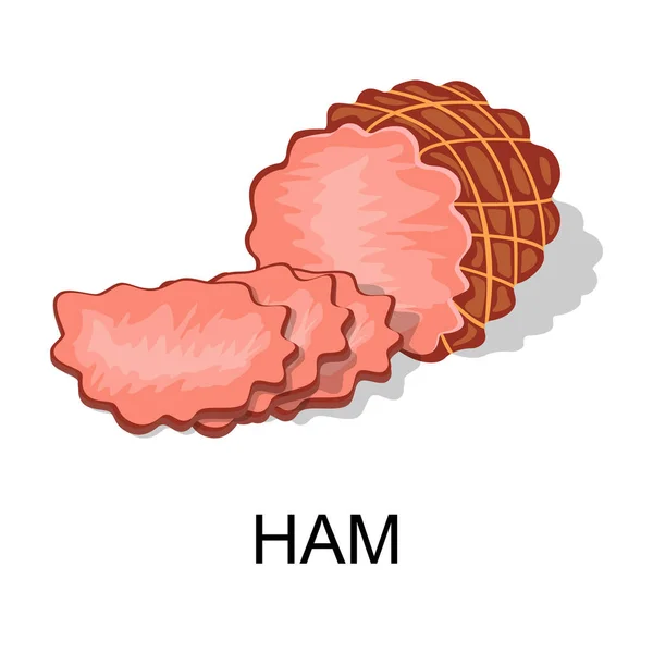 Ham. Collection of meat products. Vector illustration. — Stock Vector