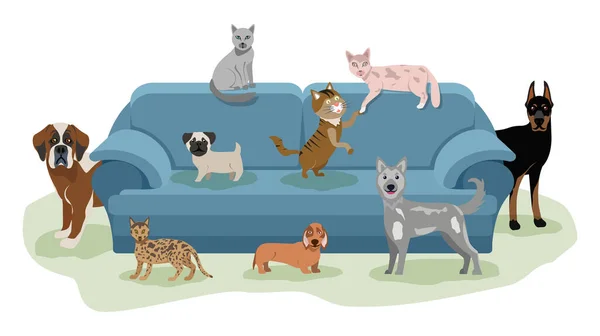 Щасливі домашні тварини розслабляються на дивані. Кішки і собаки лежать і ходять біля дивана. Дружба тварин — стоковий вектор