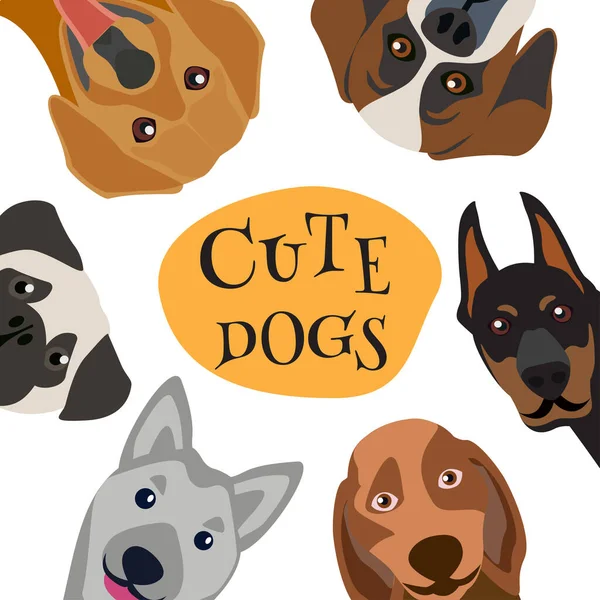 Kutyafejek köröznek. Barátság koncepció kártya kutya készlet vektor illusztráció — Stock Vector