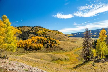 Bulunmuştun Antonito için