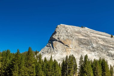 Lembert Dome Yosemite clipart