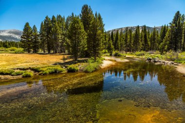 Dana Fork Yosemite
