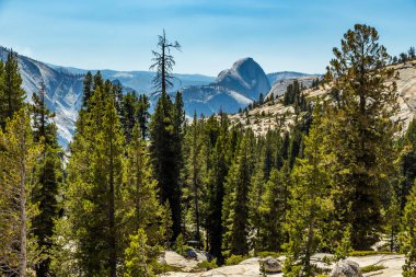 yarım kubbe yosemite