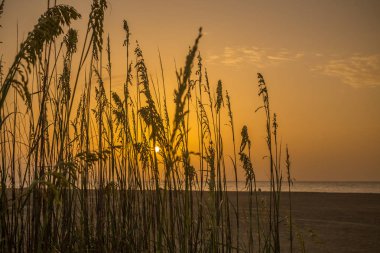 Sunrise Tybee Adası'nda