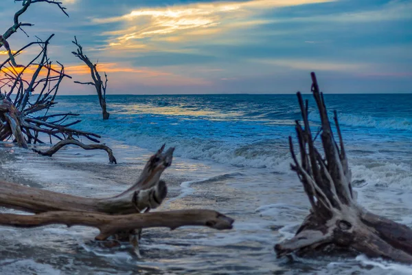 Botany Bay beach — Stock fotografie