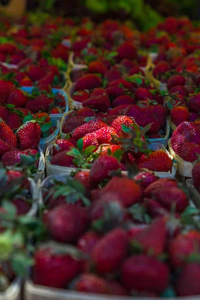 Charleston Market Erdbeeren — Stockfoto