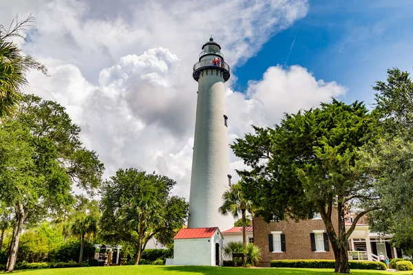 Dalgaların karaya attığı odun Beach, Jekyll Island, Gürcistan 