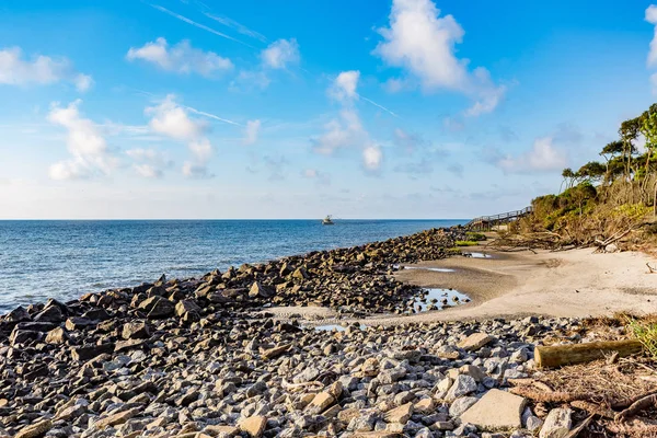 Driftwood пляж, Джекілл Айленді, штат Джорджія — стокове фото