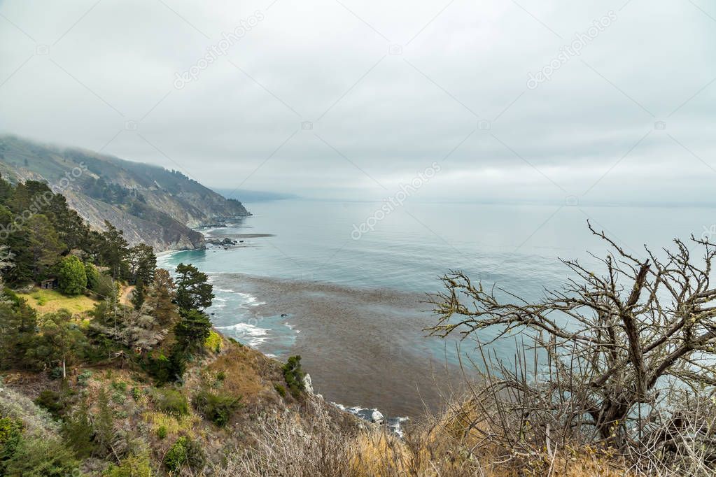 Pacific Coast Highway View