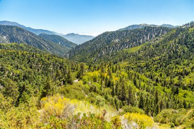 Big Bear Creek Vadisi