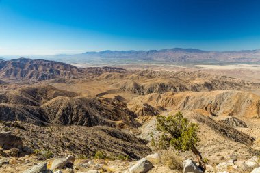 Joshua Tree Ulusal Parkı