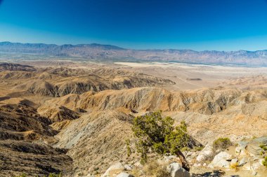 Joshua Tree Ulusal Parkı