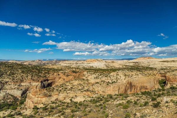 Zona di ricreazione del Vitello Creek — Foto Stock