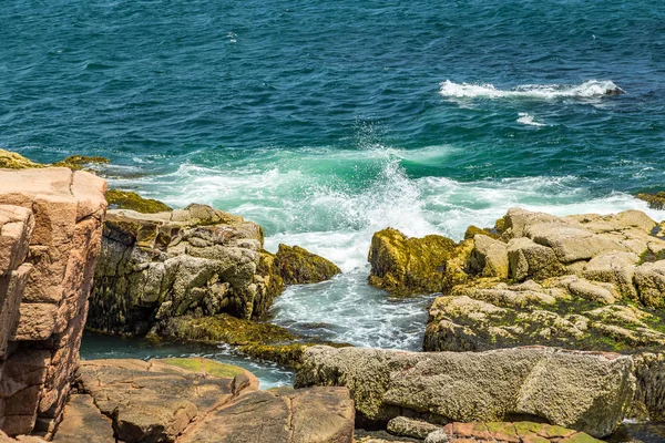 La costa rocosa de Maine — Foto de Stock