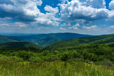 Shenandoah Milli Parkı