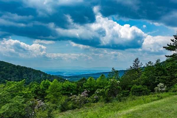 Parc national de Shenandoah — Photo