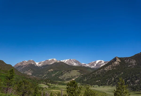 Lagos de ovelhas em West Horseshoe Park em Trail Ridge Road — Fotografia de Stock