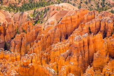 Bryce Kanyonu Ulusal Parkı
