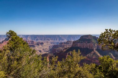 Büyük Kanyon Ulusal Parkı