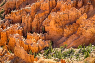 Bryce Kanyonu Ulusal Parkı