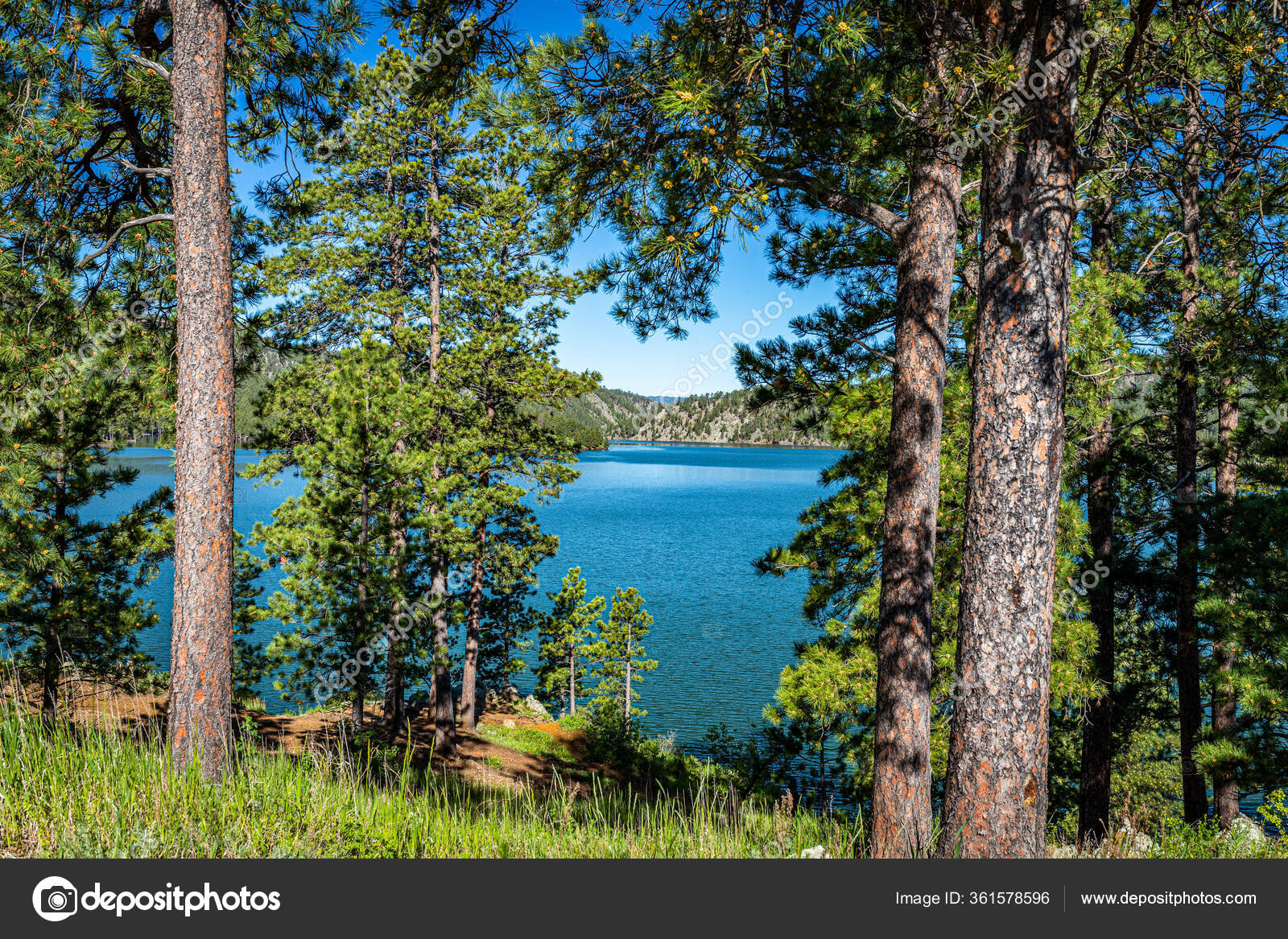 Pactola Lake Largest Reservoir Black Hills South Dakota Created