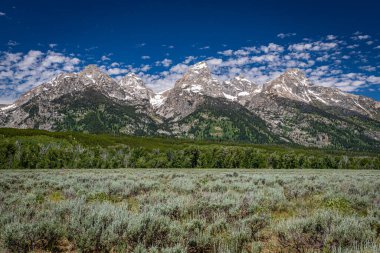 Wyoming 'in Rocky Dağları' ndaki Grand Teton Ulusal Parkı.