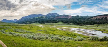 Soda Butte Creek, Lamar Nehri 'nin Yellowstone Ulusal Parkı' ndaki ana kollarından biridir..