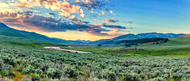 Güneş, Wyoming 'deki Yellowstone Ulusal Parkı' nın kuzeydoğu girişindeki Lamar Vadisi 'nden doğuyor..