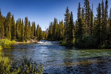 Broadwater Nehri, Cooke City Montana yakınlarında Beartoot Otoyolu 'nun yakınında akar..