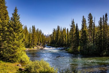 The Broadwater River flows near Cooke City Montana near the Beartoot Highway. clipart