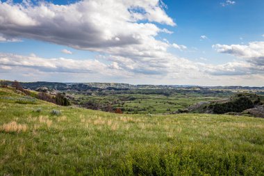 Theodore Roosevelt Ulusal Parkı 'ndaki Sahne Döngüsü Yolu Boicourt Gözden Geçirmesi sayısız muhteşem yaz manzarası sunuyor..
