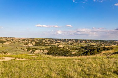 Theodore Roosevelt Ulusal Parkı 'ndaki Manzaralı Döngü Yolu sayısız muhteşem yaz manzarası sunuyor..