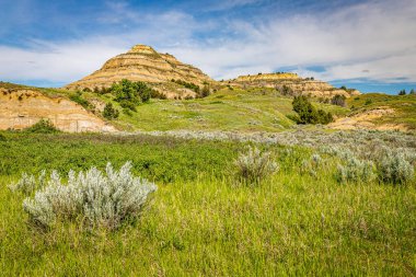 Kuzey Dakota 'nın batısındaki Theodore Roosevelt Ulusal Parkı' nın Kuzey Birimi 'nin manzaralı görüntüsü..