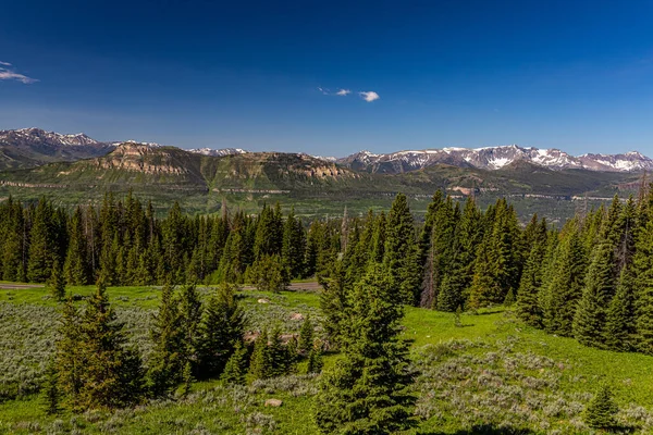 Beartooth Karayolu Montana Wyoming Deki 212 Yol Red Lodge Ile — Stok fotoğraf