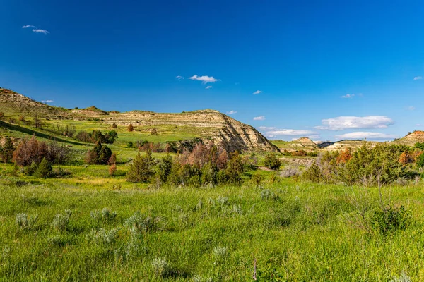 Scenic Loop Road Theodore Roosevelt National Park Nabízí Nespočet Nádherných — Stock fotografie