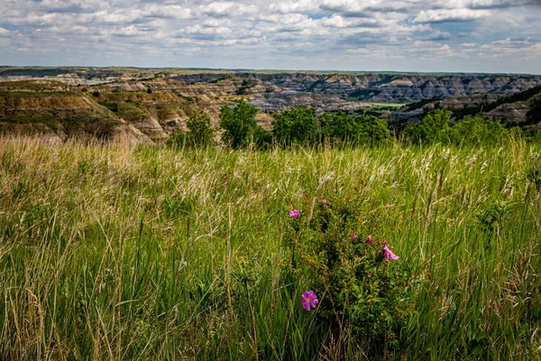 Panoramiczny Widok Malowniczej Jazdy North Unit Theodore Roosevelt National Park — Zdjęcie stockowe