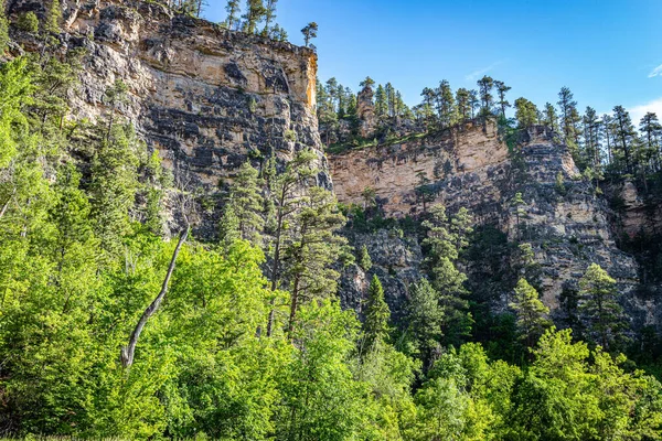 Alte Scogliere Calcaree Costeggiano Percorso Del Spearfish Canyon Scenic Byway — Foto Stock