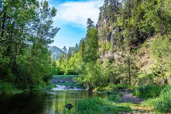 Black Hills Ulusal Ormanı ile çevrili Spearfish Deresi bir balık avlama cennetidir ve Black Hills 'teki en iyi gökkuşağı alabalığından birini barındırır..