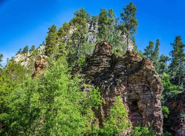 高い石灰岩の崖は ブラックヒルズ国立の森の中のスペアフィッシュキャニオン風景バイウェイのルートに沿っています — ストック写真