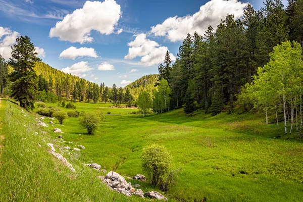 Spearfish Canyon Scenic Byway Имеет Тысячефутовые Стены Известкового Каньона Оттенках — стоковое фото