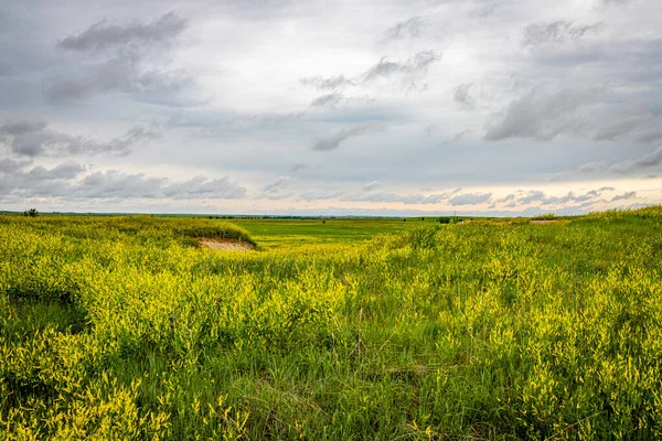 Badlands National Park Encuentra Suroeste Dakota Del Sur Con Casi — Foto de Stock