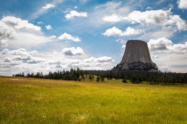 Joyner Ridge Trailhead 'den Wyoming, Hulett yakınlarındaki Devil' s Tower Ulusal Anıtı 'nın panoramik görüntüsü..