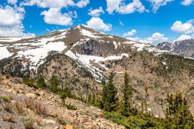 Colorado 'daki Rocky Dağı Ulusal Parkı' nın Trail Ridge Yolu 'ndan panoramik bir görüntüsü..