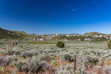 Idaho 'daki Kayalıklar Şehri, Kaliforniya patikasının orta noktasını belirledi ve bugün kaya tırmanışı etkinlikleri sunuyor..