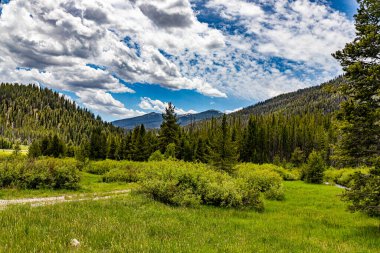 Sawtooth Ulusal Ormanı güney Idaho ve kuzey Utah 'ta iki milyon hektarlık bir alanı kaplar ve Sawtooth Dağları ile Sawtooth Ulusal Dinlenme Alanı' nı kapsar..