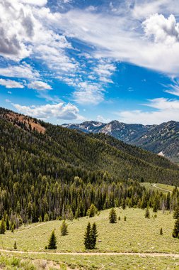 Sawtooth Ulusal Ormanı güney Idaho ve kuzey Utah 'ta iki milyon hektarlık bir alanı kaplar ve Sawtooth Dağları ile Sawtooth Ulusal Dinlenme Alanı' nı kapsar..
