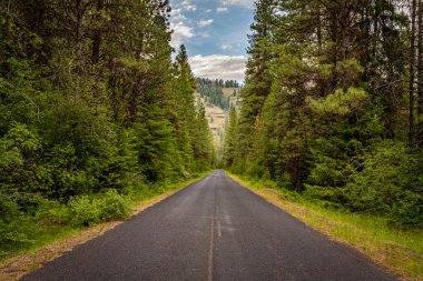 Doğu Oregon 'daki Wallowa-Whitman Ulusal Ormanı' ndaki Wallowa Dağı Döngü Yolu..