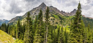 Kuzey Cascades Ulusal Parkı, Kuzey Washington eyaletinin Cascades Dağları 'nda bulunan ıssız ve engebeli bir arazidir..