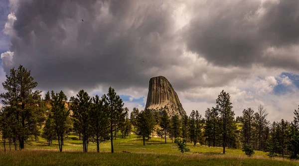 Panoramatický Výhled Národní Památku Ďáblova Věž Poblíž Hulettu Wyomingu Joyner — Stock fotografie